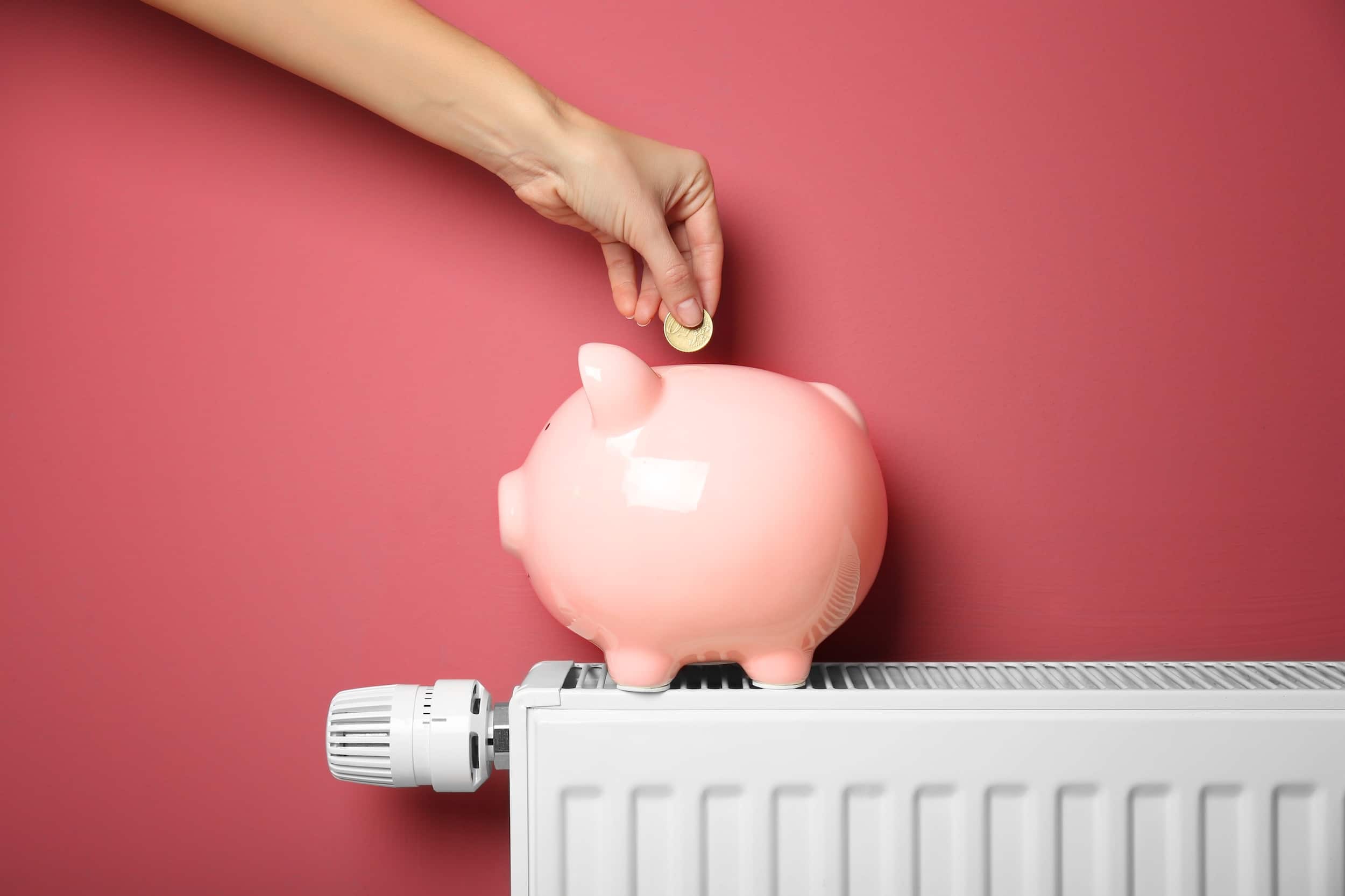 savings,concept.,female,hand,putting,coin,into,piggy,bank,which